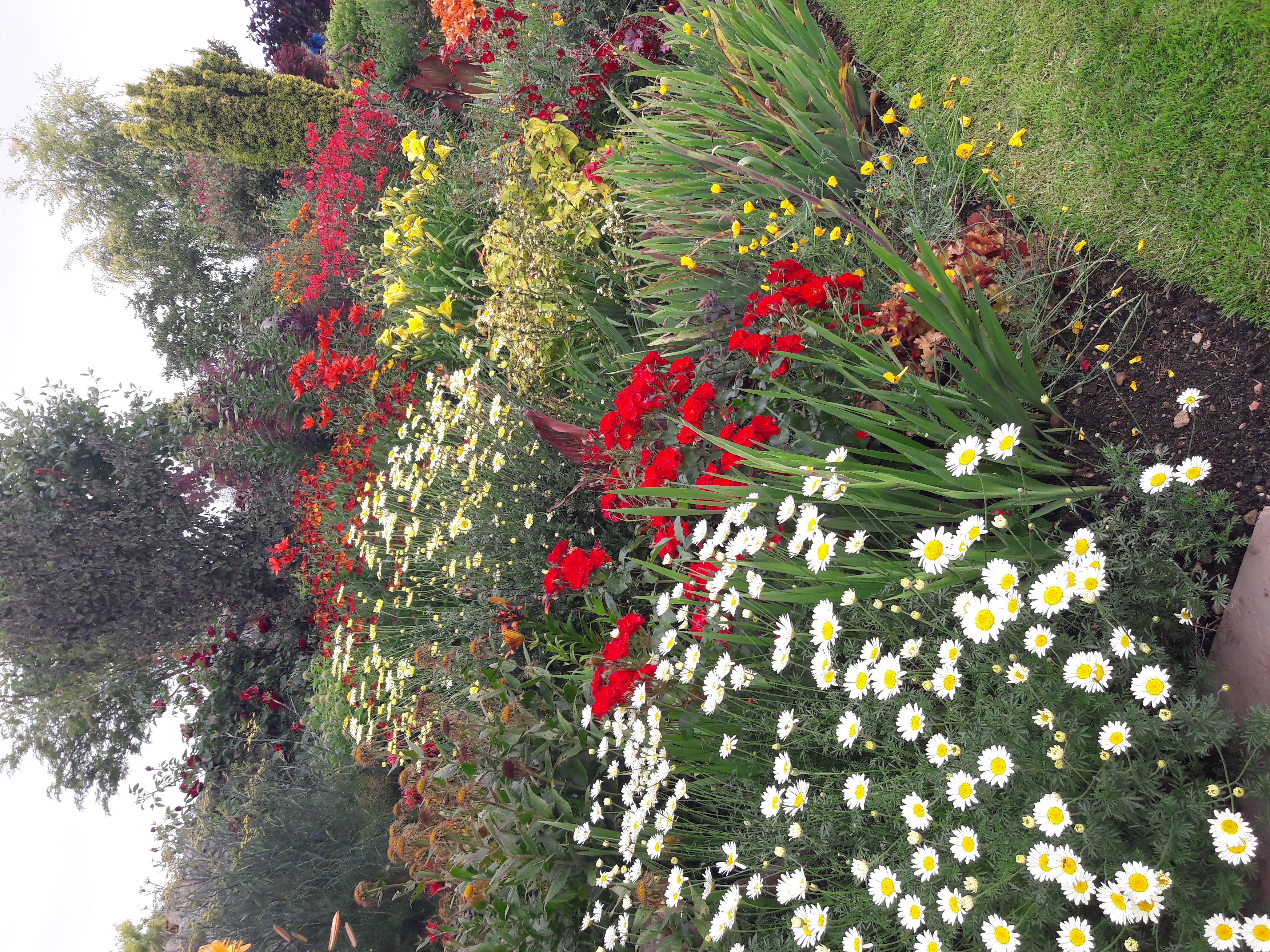 Thornton Hall Gardens (copy)