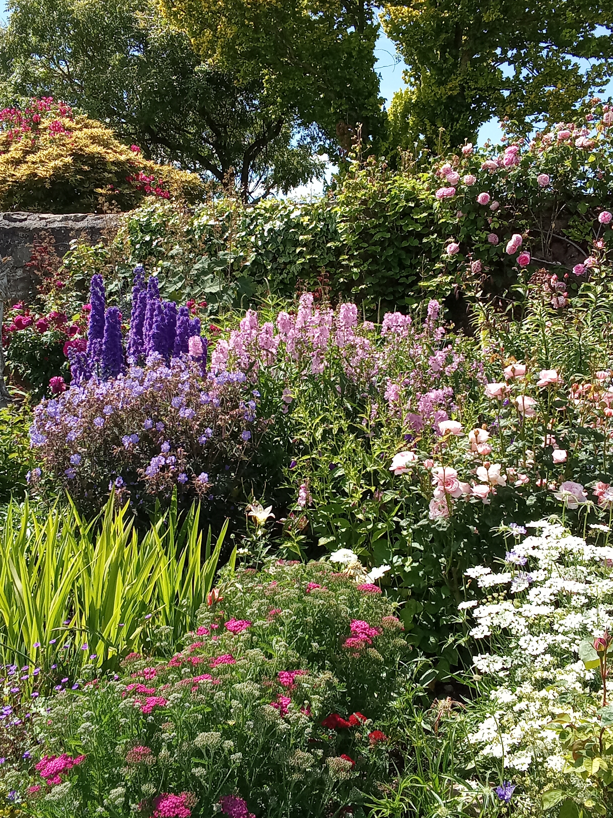 Thornton Hall Gardens