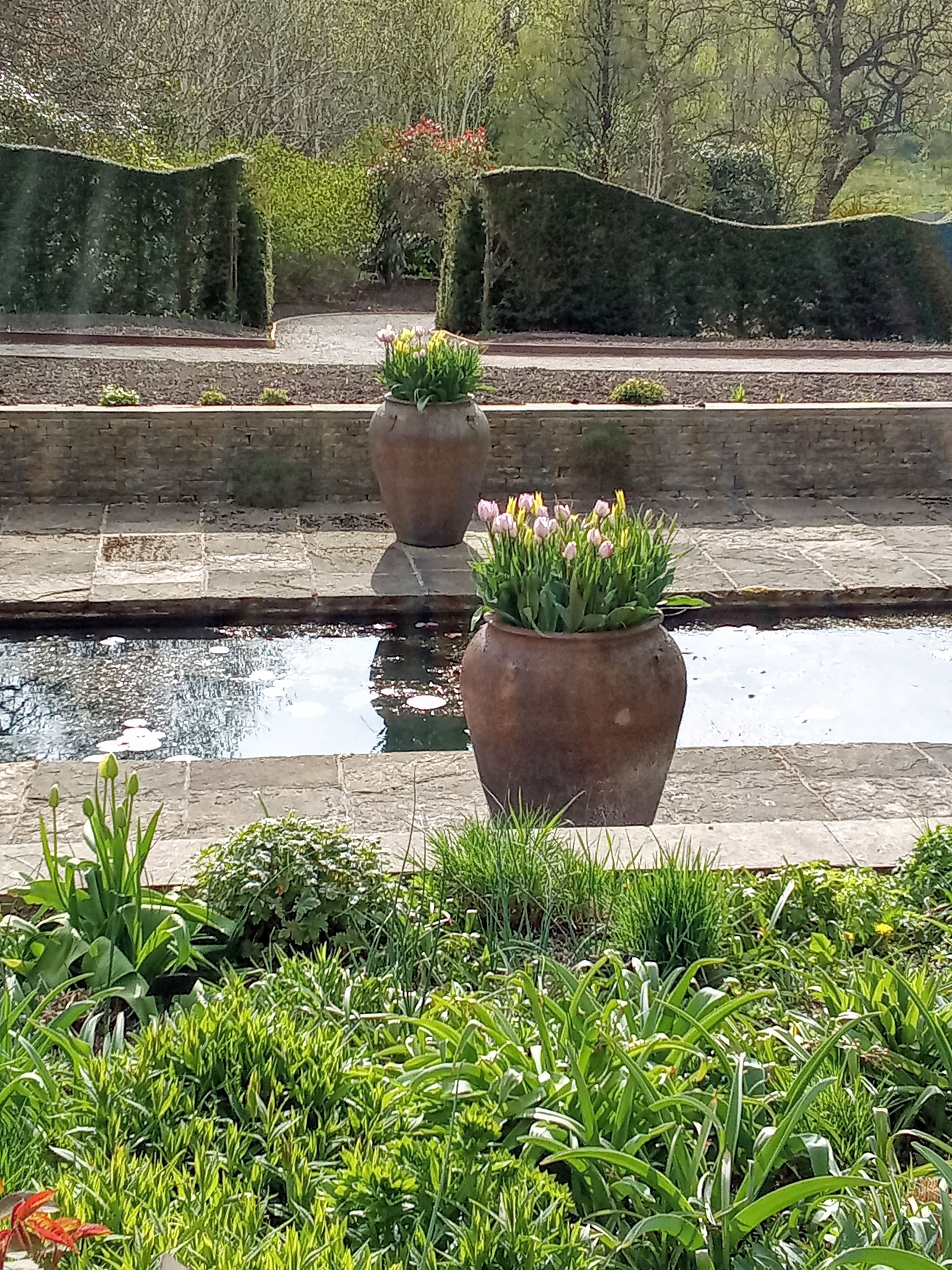 RHS Garden Harlow Carr Harrogate